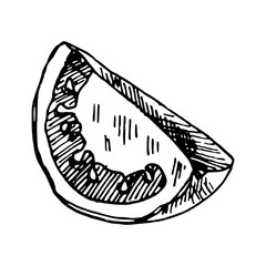 hand drawn illustration of piece of tomato
