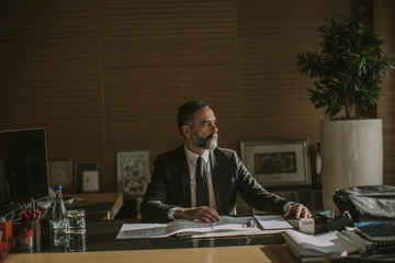 Senior businessman working in modern office