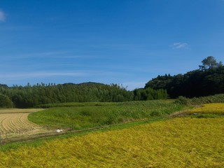 千葉の田園風景