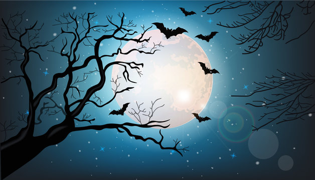 Tree branches silhouette and bats flying at night Vector. Full moon. Halloween concepts