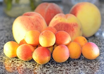 Naklejka na ściany i meble Ripe juicy apricots and peaches, summer harvest