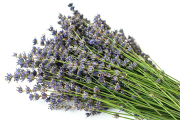 A bunch of lavender on white wooden ground