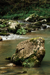 A stone in a mountain river. Beautiful landscape - 220117768