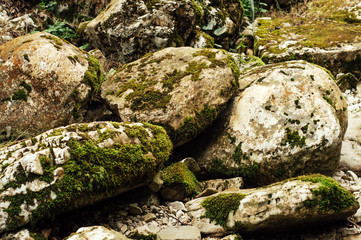 Large stones covered with moss. - 220117931