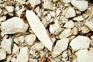 Stones with autumn leaves. Background - 220118199