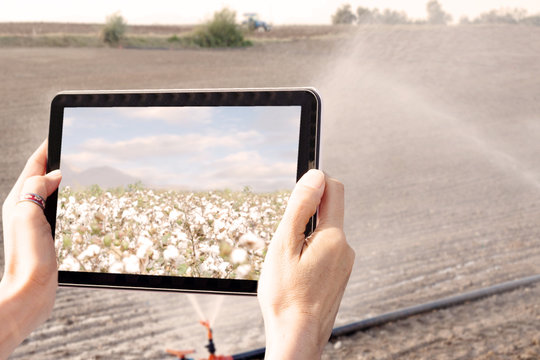 agriculture digital analysis farming