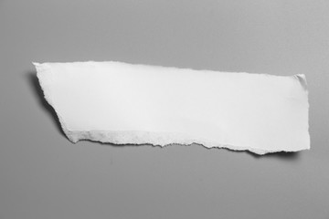 white torn paper on gray background. collection paper rip