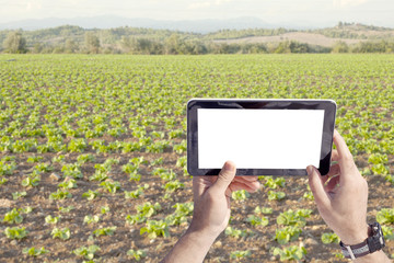 agriculture digital analysis farming