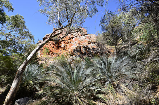 Australia, Northern Territory, Outback