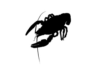 cancer silhouette of crayfish, crayfish icon, lobster sign, crayfish symbol Black and white. Vector illustration.
