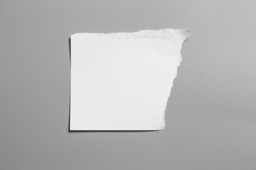 white torn paper on gray background. collection paper rip