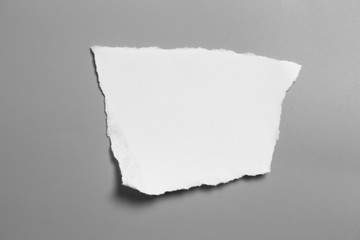 white torn paper on gray background. collection paper rip