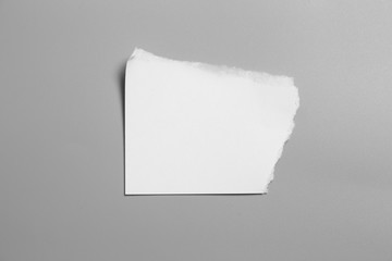 white torn paper on gray background. collection paper rip
