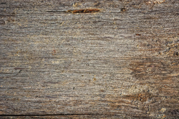 Fototapeta premium Old wood texture and background.