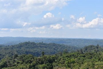 Fototapeta na wymiar Valley in the Amazon Jungle in Ecuador