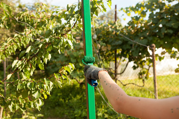 Boy hand painting a pole with green color