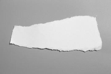 white torn paper on gray background. collection paper rip