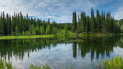 Horseshoe lake reflection view in Denali national park