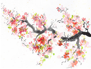 Fototapeta premium sakura branch with blooming Japanese cherry. watercolor illustration