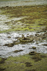 Garbage on the coast