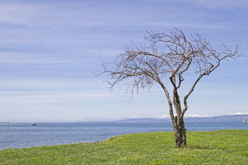 Slowenische Urlaubsidylle bei Ankaran