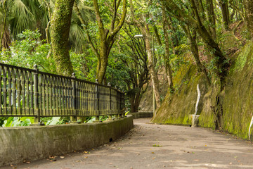 Obraz premium The Path