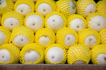 Pile of cantaloupe