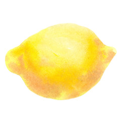 fruit is a natural whole lemon. watercolor illustration