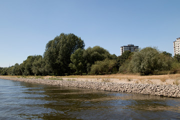hochhaus versteckt hiner bäumen am rheinufer in Köln Deutschland fotografiert während einer sighteeing bootstour auf dem Rhein mit einem Weitwinkelobjektiv