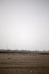 Straße und Masten im Oman