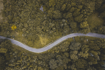 Obraz na płótnie Canvas Drone Road