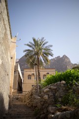 Oase, Palme und Haus im Oman