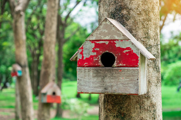 Red color Squirrel wood house or birdhouse hanging on the tree with blur background in public park