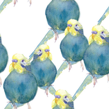seamless pattern  wavy parrot blue with a yellow head. watercolor illustration