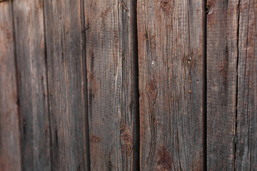 old  and cracked paint wooden door