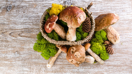Mushroom Boletus in a basket on a wooden rustic background