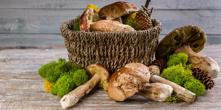 Ceps Boletus in a basket on a wooden rustic background