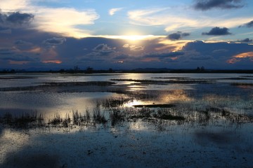 Sunset and cloudy sky over the shallow part of the lake with shadow of the grass and reflection of the water