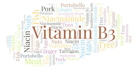 Obraz premium Vitamin B3 word cloud.