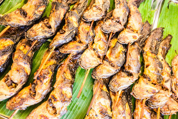 Grilled fishes on skewers