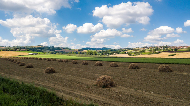 Panorama of the countryside in Coriano, Emilia Romagna countryside, Italy