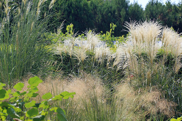 Комплекс летней резиденции румынской королевы Марии в Балчике (Болгария) и ботанический сад 