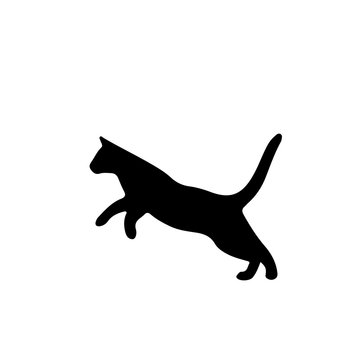 Cute Black Cat Jumping And Playing On White Background