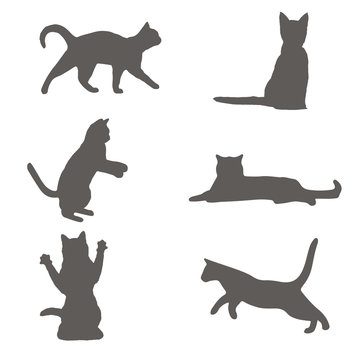 Set of gray cat silhouette. cat sitting, walking, playing, different cats vector