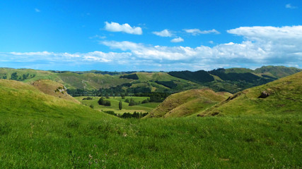 Fototapeta na wymiar North Island landscape, New Zealand