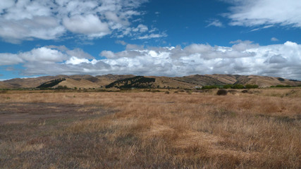 Dry landscape in the region of Marlborough near Blenheim