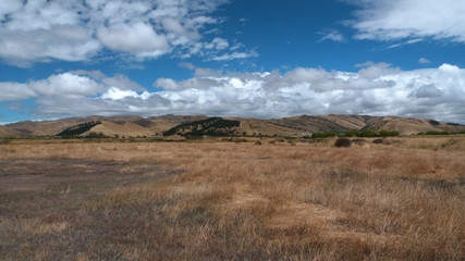Fototapeta na wymiar Dry landscape in the region of Marlborough near Blenheim