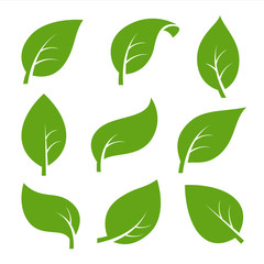 Eco green color leaf vector logo flat icon set. Isolated leaves shapes on white background. Bio plant and tree floral forest concept design.