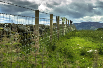 Aberdeenshire, Scotland, UK.  Beautiful  rural landscape.