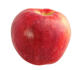Fresh red apple isolated on white background with clipping path